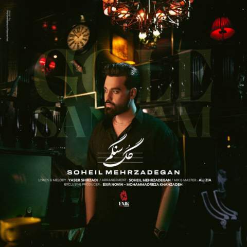 Soheil Mehrzadegan Gole Sangam Musicya.ir دانلود آهنگ آی گل سنگم گل سنگم چی بگم از دل تنگم